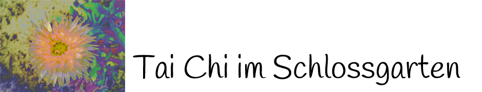 taichi-im-schlossgarten.de